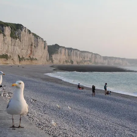 Appartement Gite Gites De France - La Bonne Fee Campoise