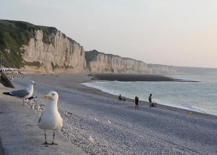 Apartament De France - La Bonne Fee Campoise